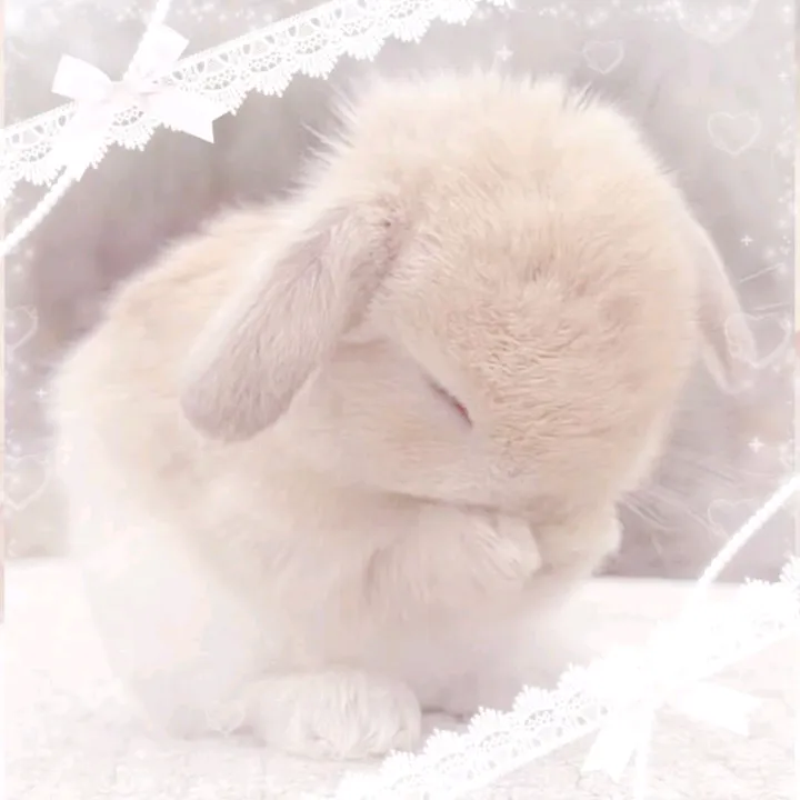 little_princess.pinky