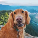 @adventureswithmase