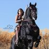 _ashleymorganrhodes