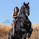 @_ashleymorganrhodes