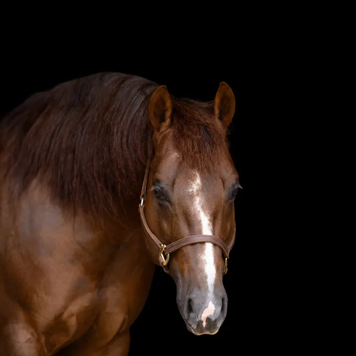@supermarioostallion