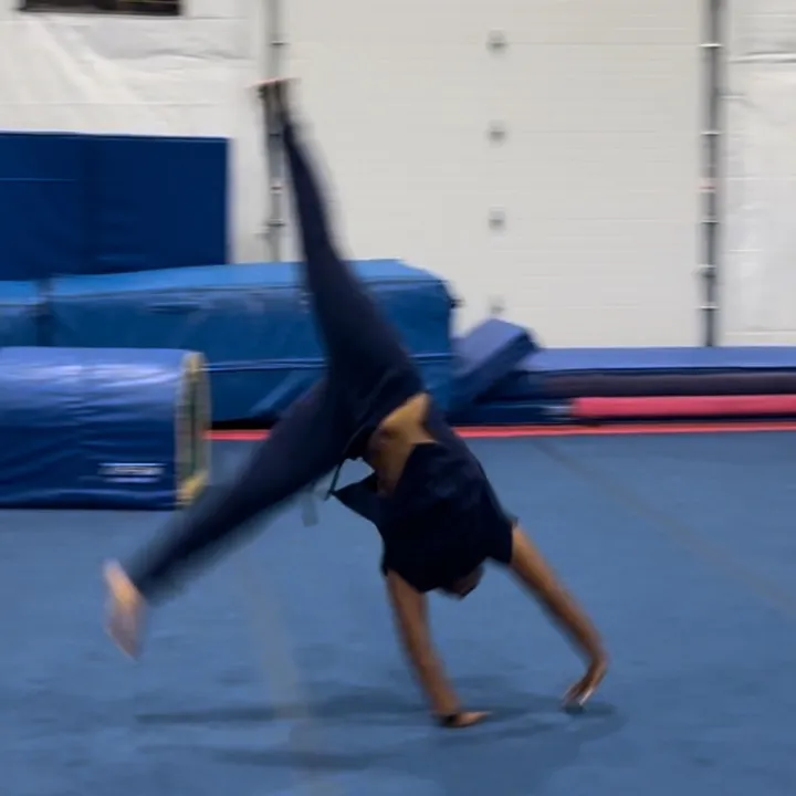 @geriatricgymnast