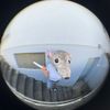 ratttisback