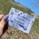 @ms.lina99