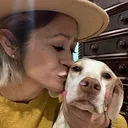 @justagirlsavingdogs
