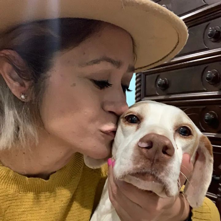 justagirlsavingdogs
