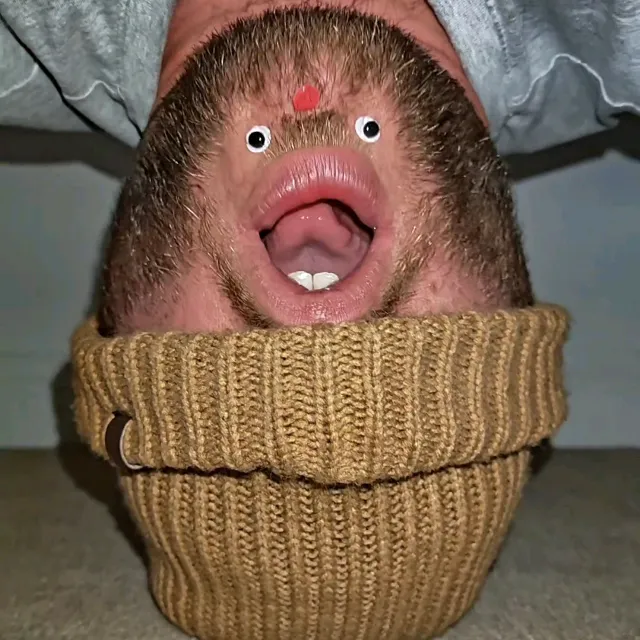 chinfaced