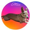max_and_company_33
