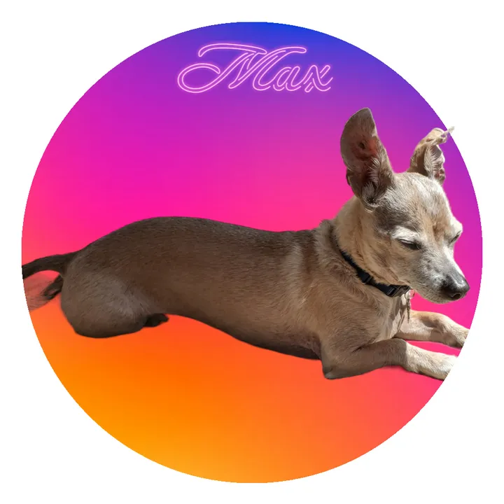 max_and_company_33