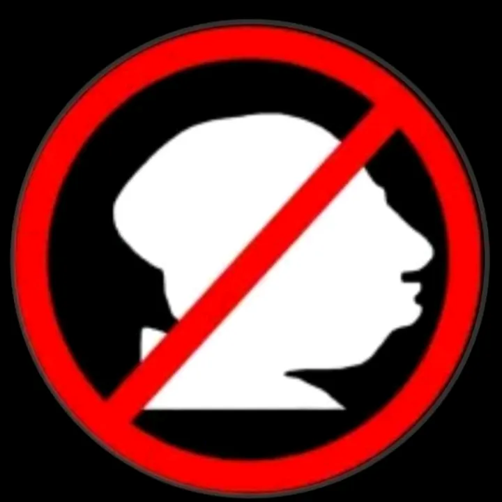 civicsnsins