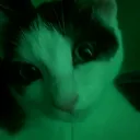 @shadowwarez_