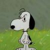 lily.pinn