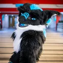 @saberyeen
