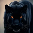 @blackpanther_discomovil