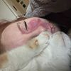 yourbestginge