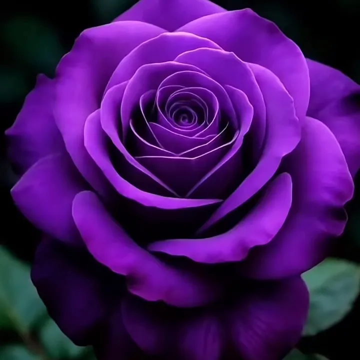 @malukza365
