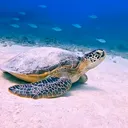 @aqualife1