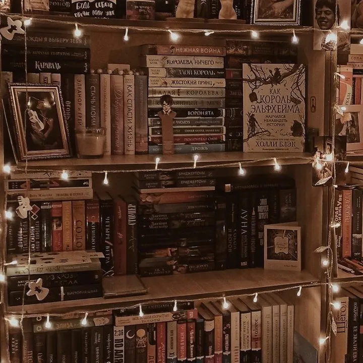 @book_aesteticsandstuff