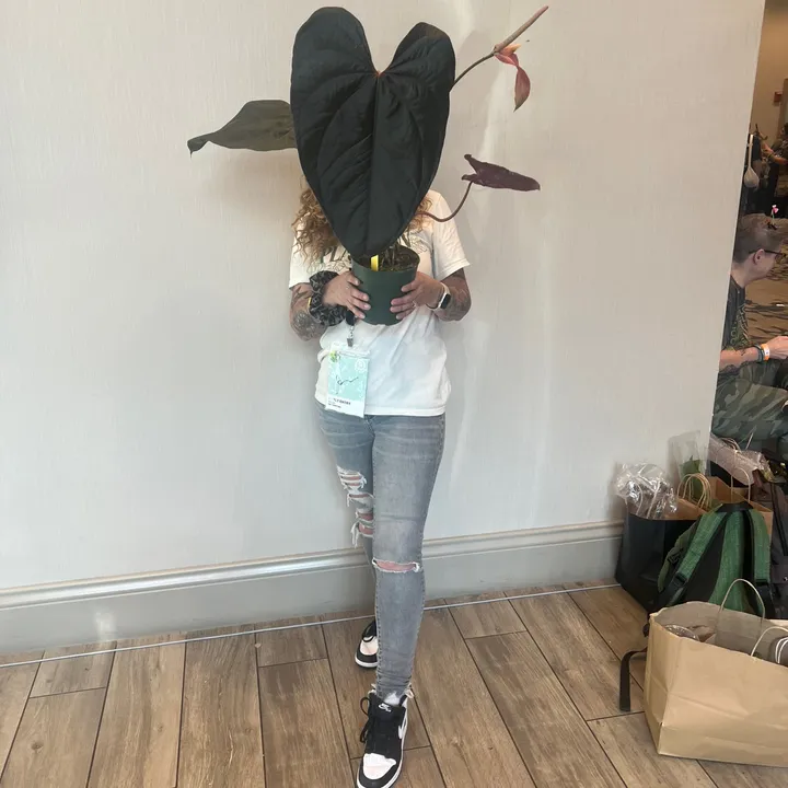 heatherhughes0416