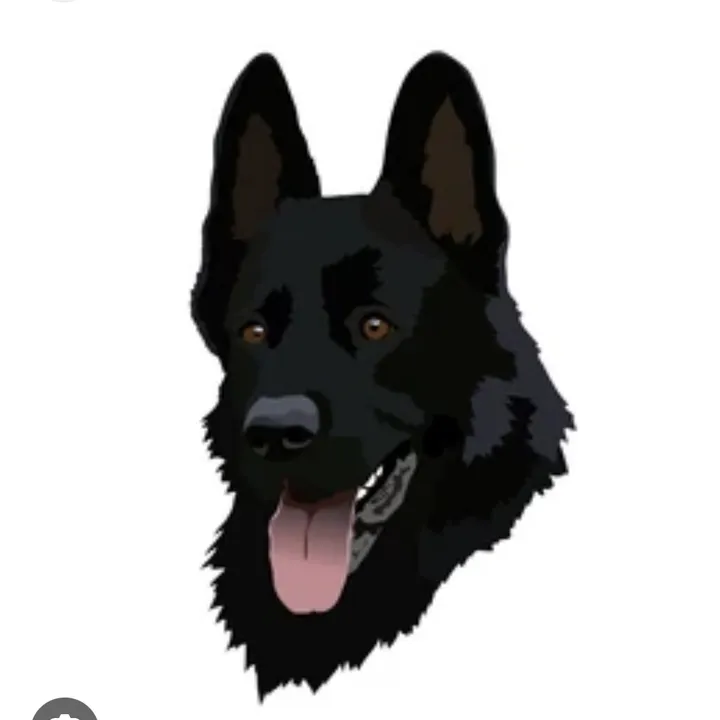 69elperro