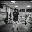 @chava_ngu