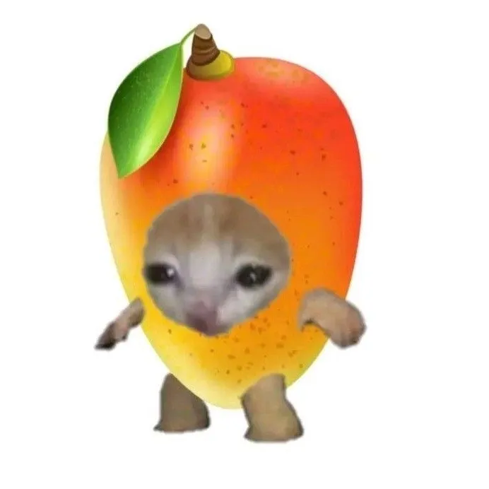 littlemanguitoo