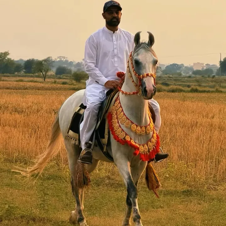 @babarraja373