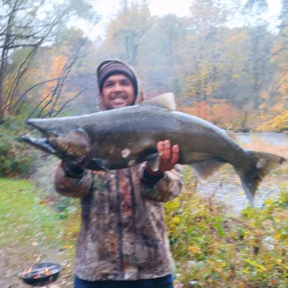cpfishon1