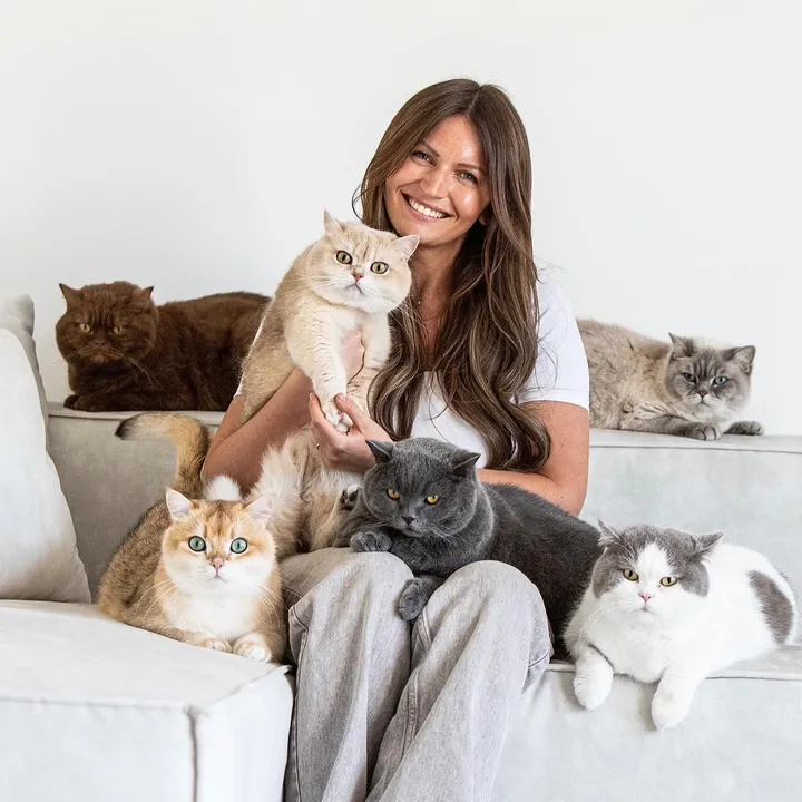 @sinascolorcats