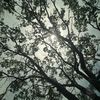 chris.charles63