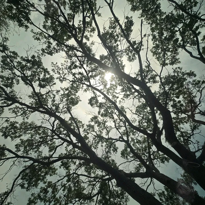 @chris.charles63