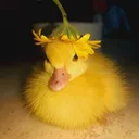 @fantasmiiita_feliz