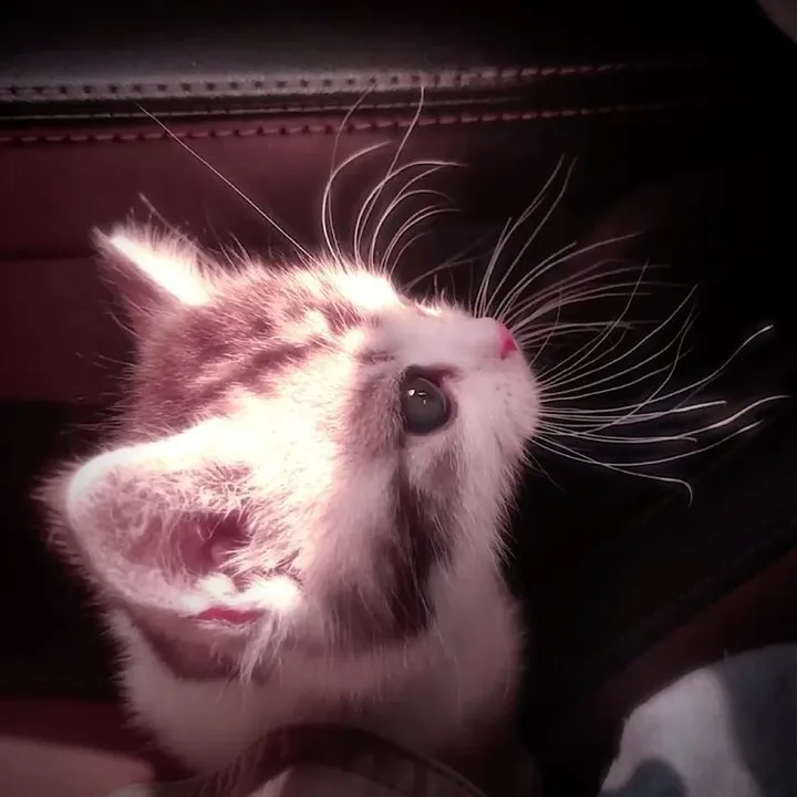 iwantsomespicyyyf