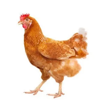 @ethanmuth69