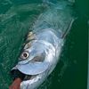manasotakeyoutfitters