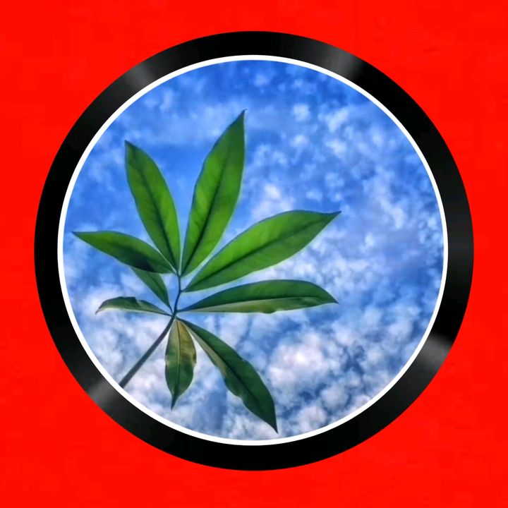 Naa.. - original sound