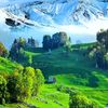 naturevibes689