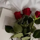 @mekar062