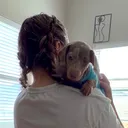 @_mytinystori_