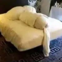 hiboqueenii