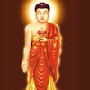 anitazheng1998