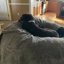@alyssa.chisholm