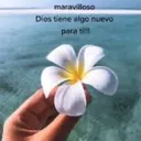 @elexandra20