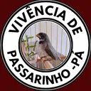 @vivenci4depassarino2
