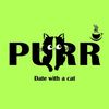 purrfectcafeglasgow