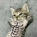 @dykr11