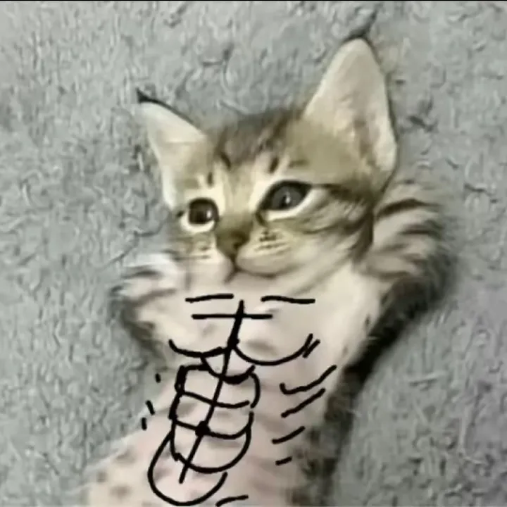 @dykr11