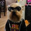 fc26rtgmay2026