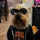 @fc26rtgmay2026