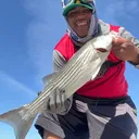 @justfishnn510